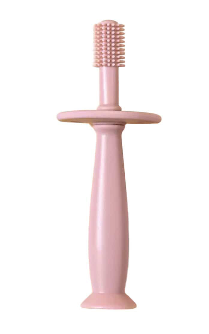 Bristly Training Toothbrush & Teether