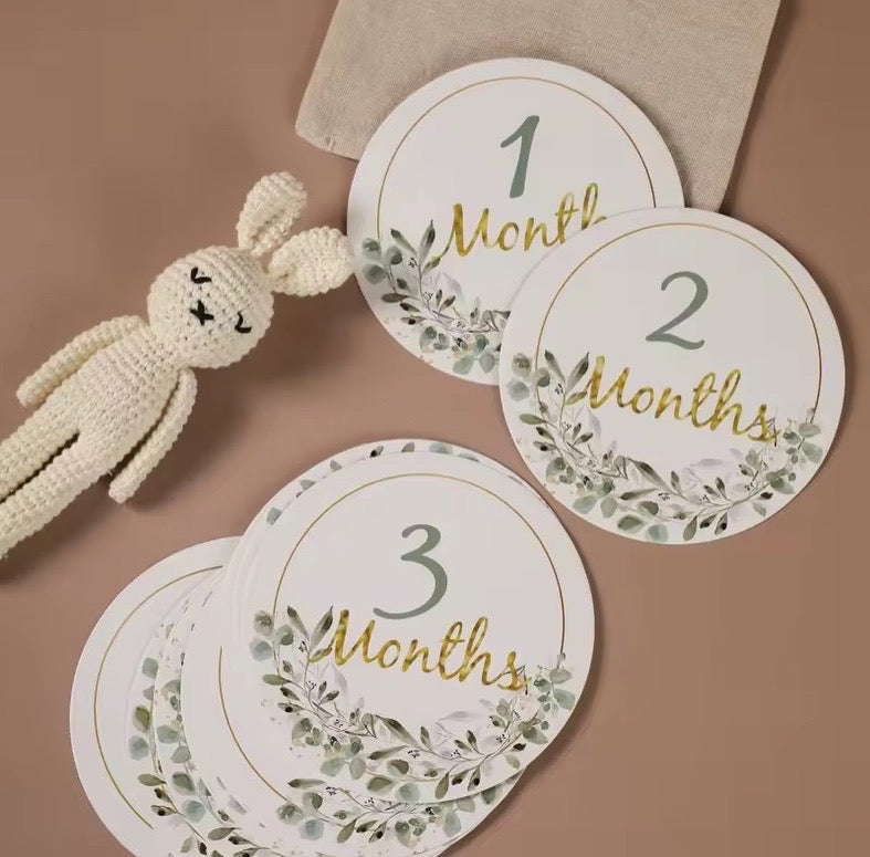 Baby Monthly Milestone Cards