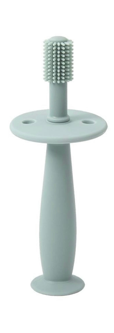 Bristly Training Toothbrush & Teether
