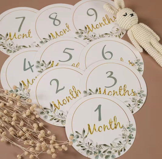 Baby Monthly Milestone Cards