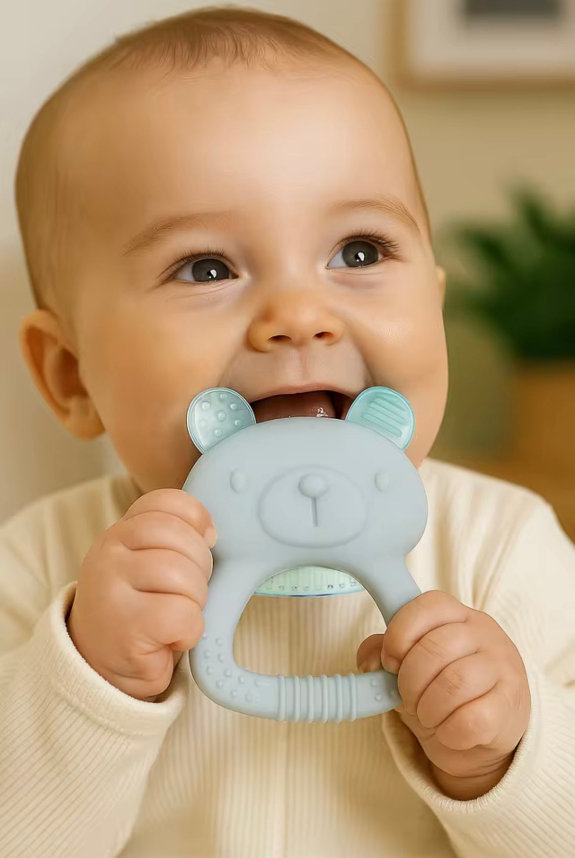 Frosty Bear Cooling Teether