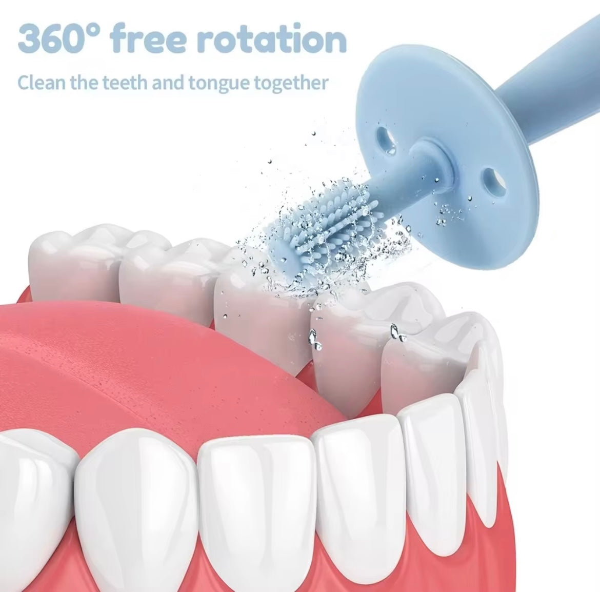 Bristly Training Toothbrush & Teether